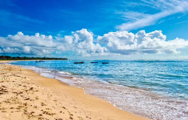 Should You Consider Westgate Resorts for Your Next Getaway